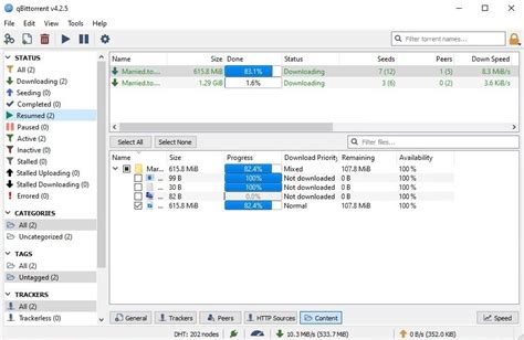 qBittorrent .